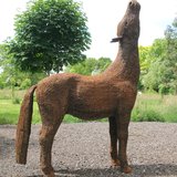 Foto 2: Klein paardje begrijpt het niet
