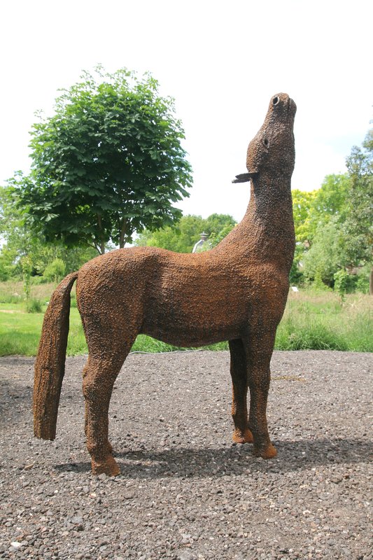 Foto 1: Klein paardje begrijpt het niet