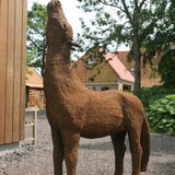 Foto 2: Klein paardje begrijpt het niet